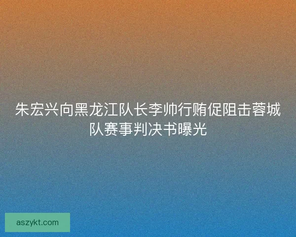 朱宏兴向黑龙江队长李帅行贿促阻击蓉城队赛事判决书曝光